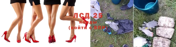 spice Нея