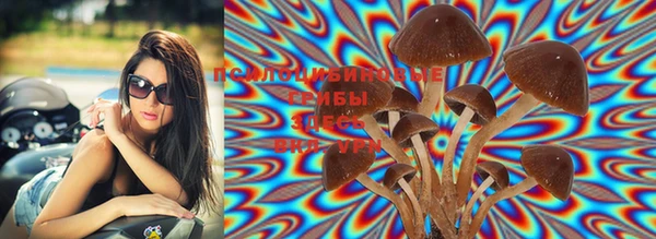 spice Нея