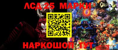 мдпв Кингисепп