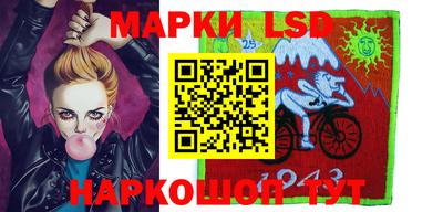 мдпв Кингисепп