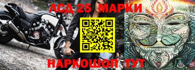 мдпв Кингисепп