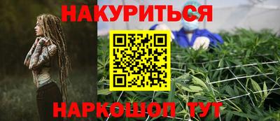мдпв Кингисепп