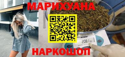 мдпв Кингисепп