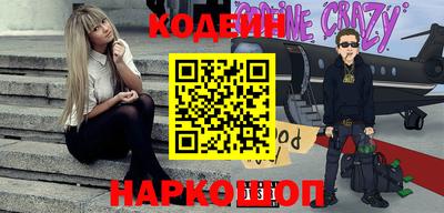мдпв Кингисепп