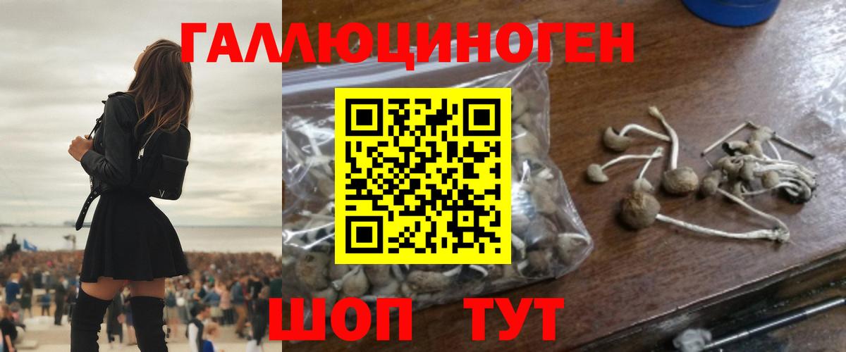 Северск  Псилоцибиновые грибы мицелий  Вход с VPN 